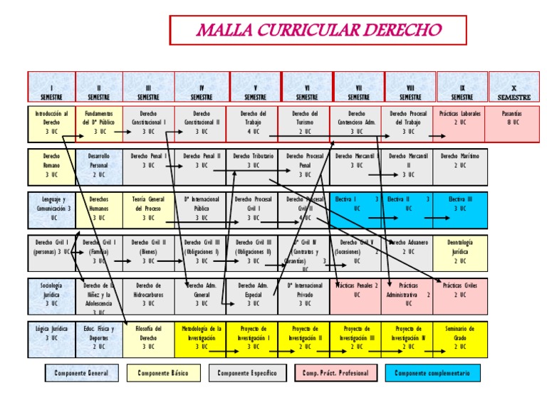 Malla Curricular de Derecho | PDF | Ley procesal | Derecho penal