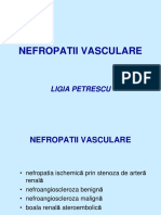 Nefropat Vasc Ischemice FINAL