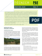 fitxapae17_castella.pdf