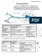 Neurofisiología