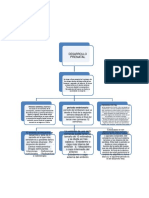 Desarrollo Prenatal