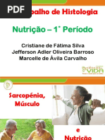 Sarcopenia Histologia