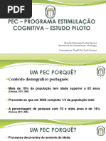 PEC - Est. Piloto.pptx