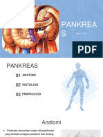 PANKREAS