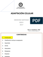 Adaptacion Celular Medicina-santiago Bcm