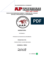 PAE internado final.pdf