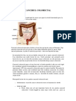 Ypqnd Cancer Colorectal