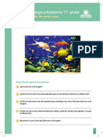 RP-CTA1-K01 - Ficha N° 1.doc (2).pdf