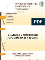 Anatomia y Distribucion Topografica Del Abdomen