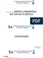 Malformatii Congenitale Cap Si Gat