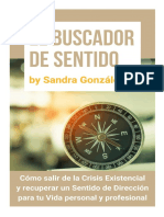 Buscador de Sentido