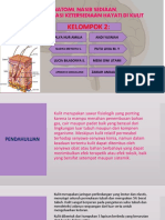 Biofar Kel.2