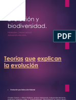 Pauta de Evaluacion de La Disertacion