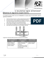 Ficha 8. Fotosintesis-1