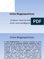 Ciclos_Biogeoquimicos_1_