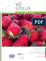 Manual de Frutillas/fresas