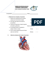 Corazón y Circulación Examen