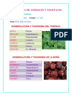 Taxonomiadeanimalesyvegetales 130708014844 Phpapp01 PDF