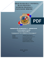 DERECHO AL DEBIDO PROCESO - derechoshumanos.pdf