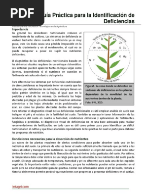 Deficiencias nutricionales en maiz pdf