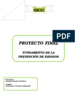 Proyecto Fundamentos de La Prevención de Riesgos Juan Pablo Figueroa Barreaux