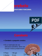 CEREBELO 1