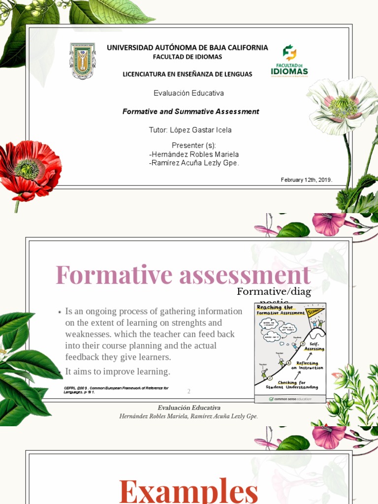 Formative and Summative Assessment | PDF | Educational Assessment ...