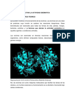 Factores Que Afectan La Actividad Enzimatica