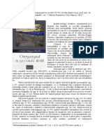 Maxim Morariu - Recenzie Origenismul in Secolele III-VIII PDF