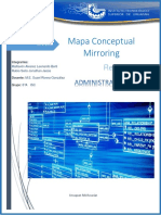 Mapa Conceptual Mirroring