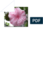 flowers.pdf