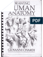 Drawing Human Anatomy by Giovanni Civardi