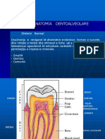 Anatomia Normale e Dhembeve Radiologjike 1