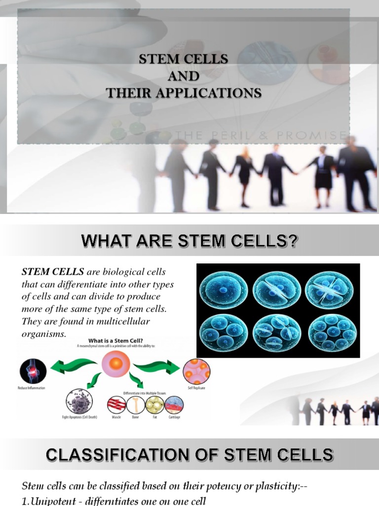 Stem Cells AND Their Applications | PDF