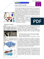 3.1 Vestimenta PDF