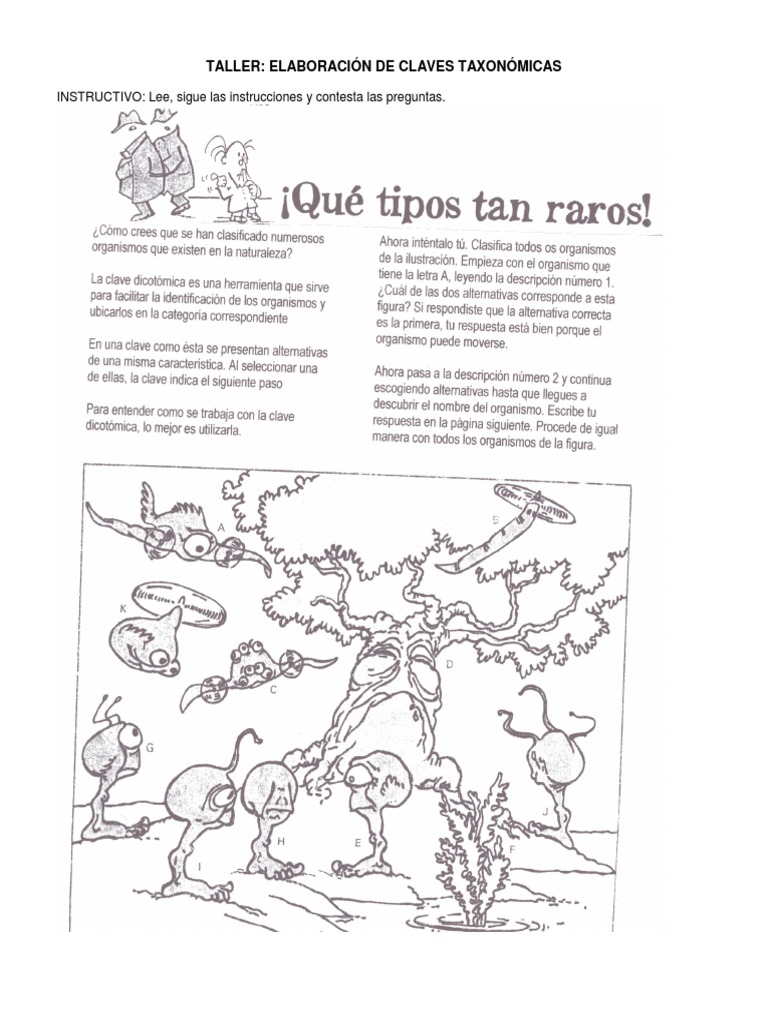 Claves Taxonomicas Cómo Elaborar Claves Taxonómicas PDF