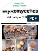 Guía de Los MYXOMYCETES DEL PARQUE ECOLOGICO "EL HAYA" Xalapa, Ver. México