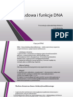 Budowa I Funkcje DNA