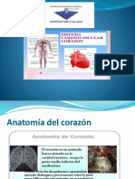 Presentacion Del Sistema Cardiovascular