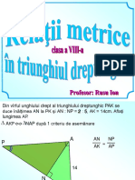 Relatii Mertice