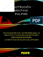 PROTECCIÓN_DENTINO_PULPAR.pdf