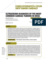 Diagnosticarea cardiaca a tumorilor de cord la caine.pdf
