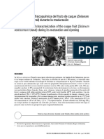 Caracterización Fisicoquímica Del Fruto de Cuque (Solanum