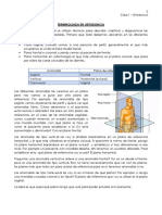 Clase 1 - Terminologia en Ortodoncia