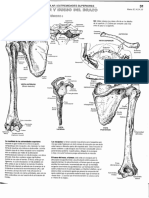 Anatomia - para Colorear - Kapit y Elson - 43