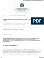 Nota Informativa SEI N° 8 PDF