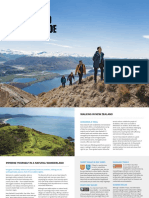 New Zealand Hiking Guide