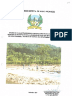 3887 Informe de Evaluacion de Riesgos Originados Por Inundacion Fluvial Por Desborde de Rio Aspuzana en La Localidad de Nuevo San Martin Nuevo Progreso Tocache San Martin