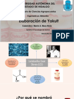 Elaboracion de Yakult 1