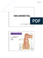 13 Sindromul Anorectal (1)